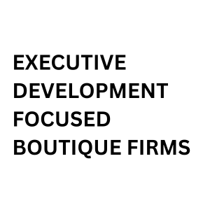 Top Training Companies in the UAE in 2026: A Detailed Buyer Guide 4 Executive development focused boutique firms